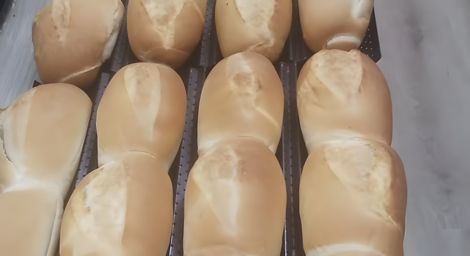 Bread, baked daily